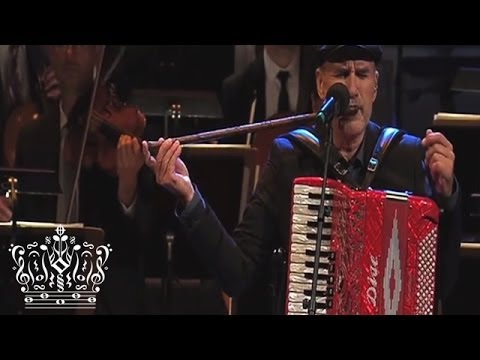 Polar Dance - Ale Möller