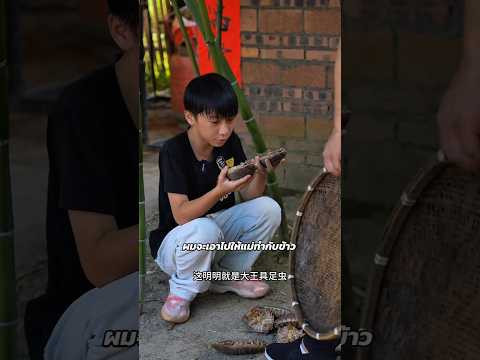 เฮียทิ้งไอโซพอดลงถังขยะ เด็กหนุ่มขอไปทำกับข้าว…ตอนจบพีคมาก!