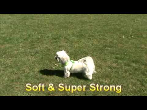 download lagu mp3 mp4 Elmos Wardrobe Dog, download lagu Elmos Wardrobe Dog gratis, unduh video klip Elmos Wardrobe Dog
