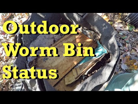 Estimated population of 5000 worms decimated in outdoor worm bag - vermicomposting