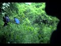 Ghost Forest House - Teaser