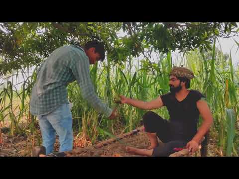 Sajid Chaoudhary Rashan card se laya aam