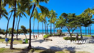 【予告】2025春ハワイひとり旅:グランドワイキキアン・リゾートビューのお部屋に滞在し、カアアワ・カフク・ハレイワ・カイムキ・カイルア・カカアコを旅する1週間 │ Hawaii Vlog