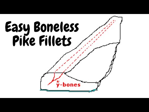 How To Fillet Pike Boneless (Take Out Y Bones Easy)