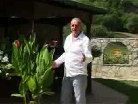 Refik Etemovic - Aman mor devojce.avi