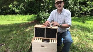 How to install a Bee Package