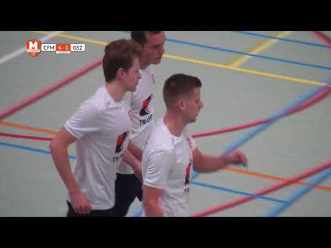 Samenvatting CFM - Groene Ster 2 17/18