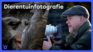 Webinar | Maarten van der Voorde over dierentuinfotografie