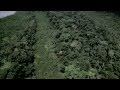 Cannibal Holocaust Opening Titles