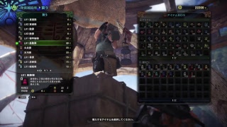 すごく下手なモンスターハンター