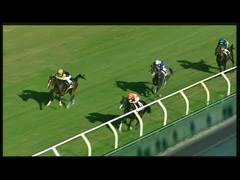 Galoppo 09/11/2020 - 2ª corsa