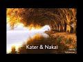 Peter Kater & Carlos Nakai - Walking the path