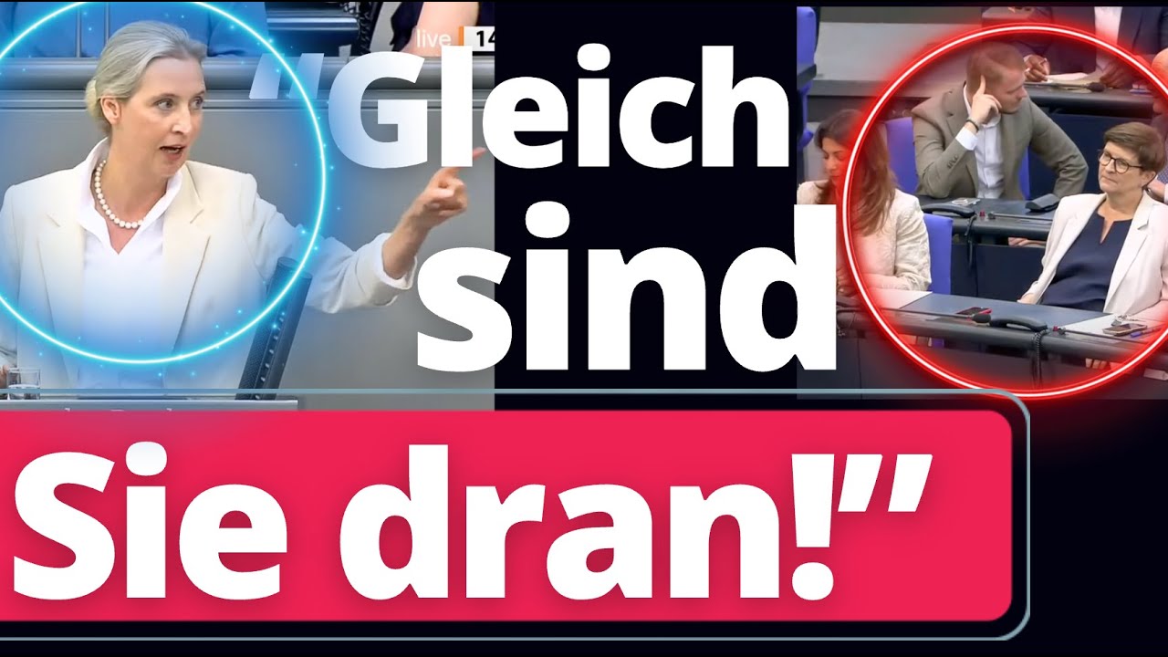 Alice Weidel zerlegt den kompletten Bundestag!