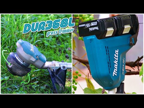 ������ ������ ���ʱ� ��ü�� DUR368L