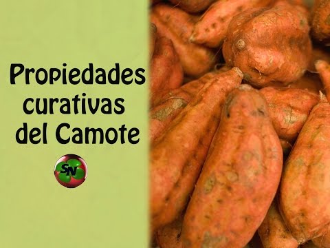 Camote propiedades para adelgazar