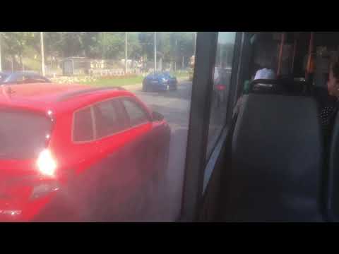 Ikarus 415T 5281(62)