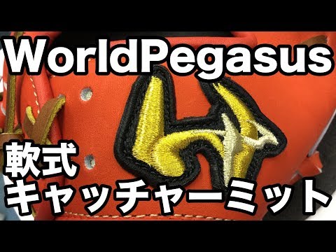 軟式キャッチャーミット World Pegasus #1769 Video