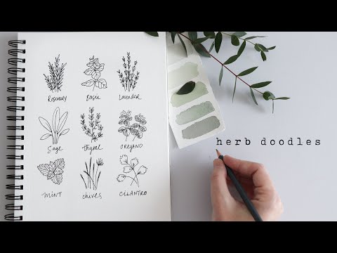 How To Draw Herbs | Fun Beginner Doodles Video