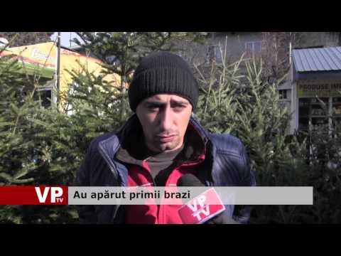 Au apărut primii brazi
