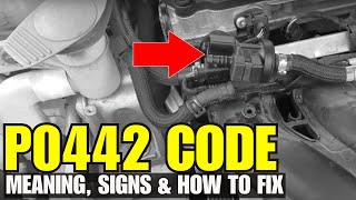 How to fix p0442 code(Troubleshooting code p0442 like  a pro): check engine light codes p0442