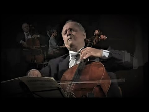 Schubert Arpeggione Sonata in A minor D.821 - António Meneses and Maria João Pires