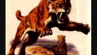 THE MODULATIONS.....YOUR LOVE HAS ME LOCKED UP.wmv