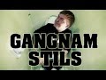 Transleiteris - Gangnam stils 