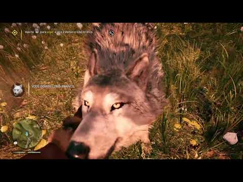 DOMANDO O LOBO BRANCO (FAR CRY PRIMAL)