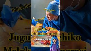 Download lagu all his internal organs were removed!! #funny #funny #viralvideo #comedy #funnyvideo #fyp #hilari... mp3