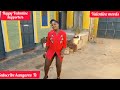 Kungulu Kwangala Official Video By Kasheshe Parody By Kangaroo Tv Valentine