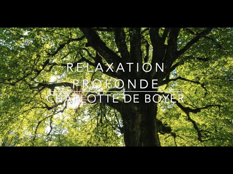 Sophrologie - Séance de relaxation profonde qui permet de ressentir la force en soi.