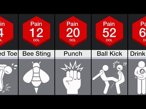 Comparison: Human Pain