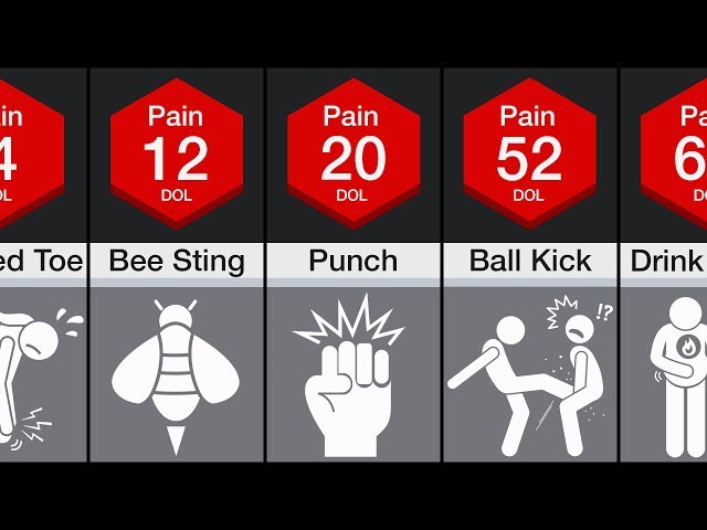 Comparison: Human Pain SDDEFAULT Thumbnail