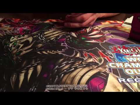 Blueeyes 2018 WCQ TOP 8 February