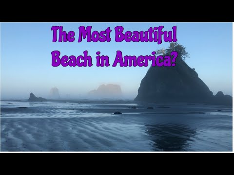 Backpacking the Coast of Olympic National Park, Rialto Beach to Sand Point and back again!?!