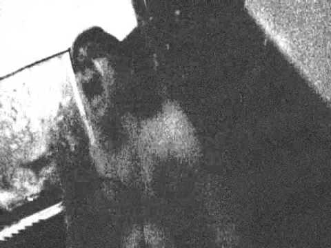 Realicide - I Wanna Hurt ( Screamers )