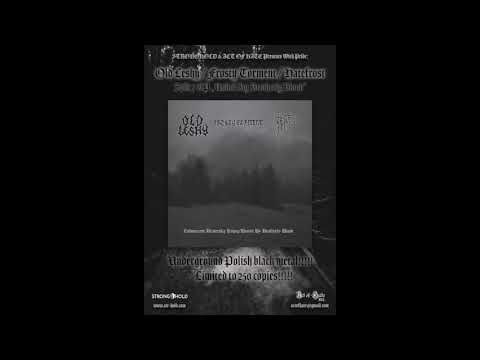 Old Leshy / Frosty Torment / Hatefrost Split 7″EP
