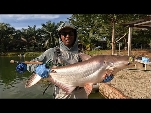 Epic Battles with Giant Fish: Aventik Riverbend Fly Fishing Rod & FLK Fly Fishing Reel in Action!