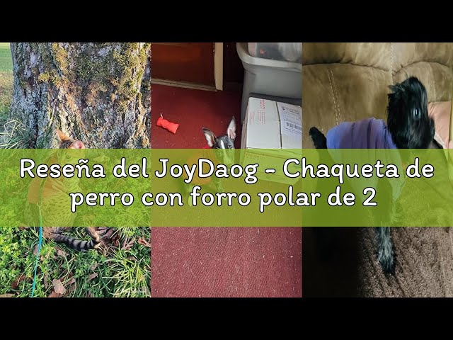 Vídeo relacionado con 2 mantas de Navidad para perros lavables con diseño de copo de nieve para perros y mascotas, manta de forro polar suave y cálida (100 cm x 120 cm, rojo y gris (paquete de 2))