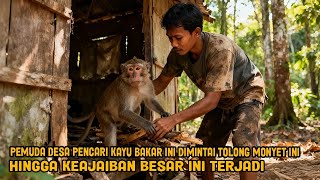 Download lagu VIRAL! PEMUDA DESA PENCARI KAYU BAKAR INI DIMINTAI TOLONG MONYET INI HINGGA KEAJAIBAN INI TERJADI mp3