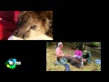 NOVA 4311 Wild Ways Promo