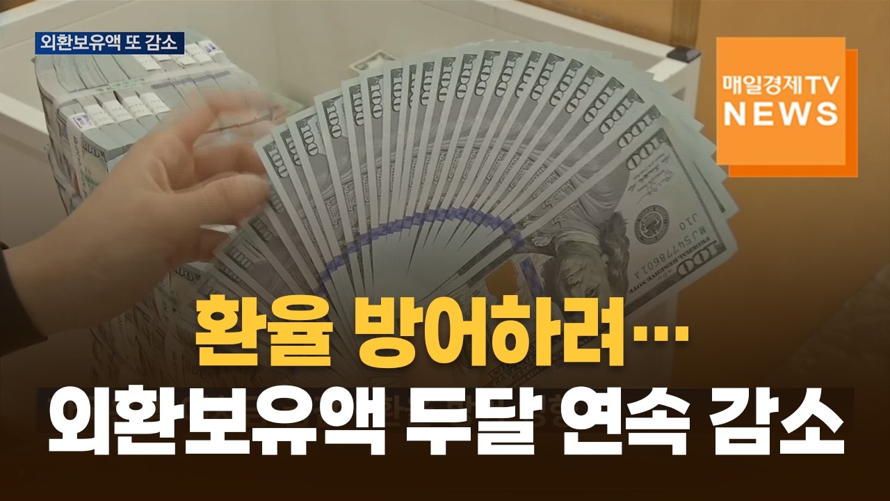 외환보유액 두달 연속 감소…환율 '롤러코스터'