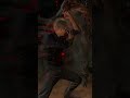 Albert Wesker Vs All Bosses In RESIDENT EVIL 4 REMAKE SEPARATE WAYS