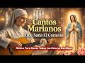 Cantos Marianos Que Sana El Corazón Música Para Sanar Todos Los Dolores Del Alma Música Católica