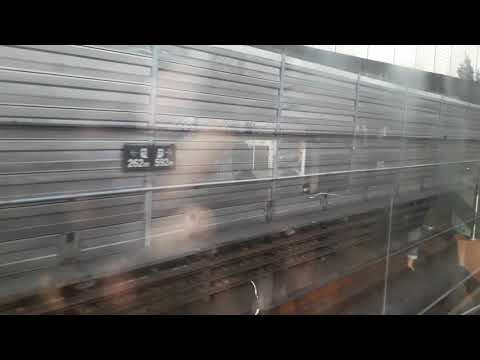 Trecho entre Parada Inglesa e Tucuruvi no TUE E02 - Linha 1 Azul