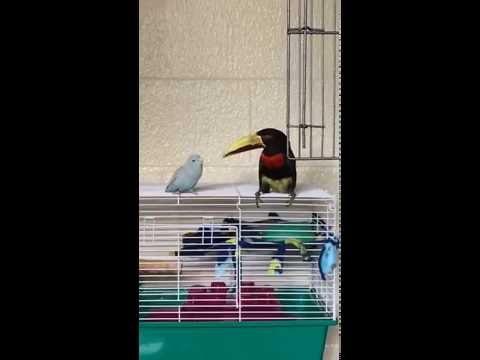 I want to bite your FEETS!