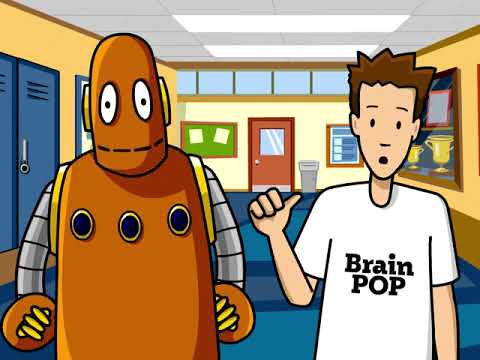Brain Pp