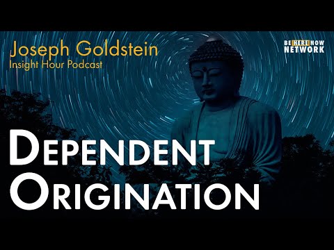 Joseph Goldstein on Dependent Origination - Insight Hour Ep. 164