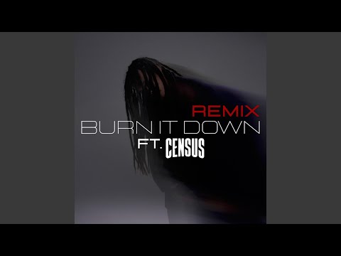 BURN IT DOWN (Remix)