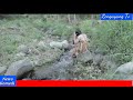 Ngintip Cewek Cantik Lagi Mandi